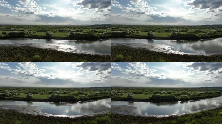 逆光拍摄海拉尔河湿地风景 (5)逆光航拍湿地花海