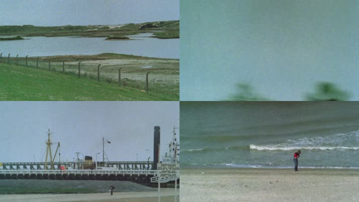 70年代英国海鸟海鸥沙滩海港集装箱
