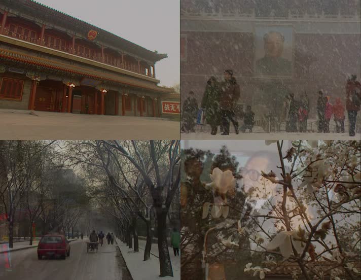 新华门 故宫 皇城红墙下 大雪下的天安门