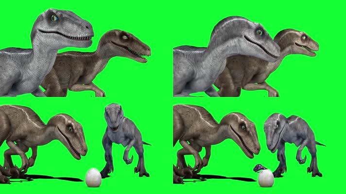 恐龙宝宝孵化
