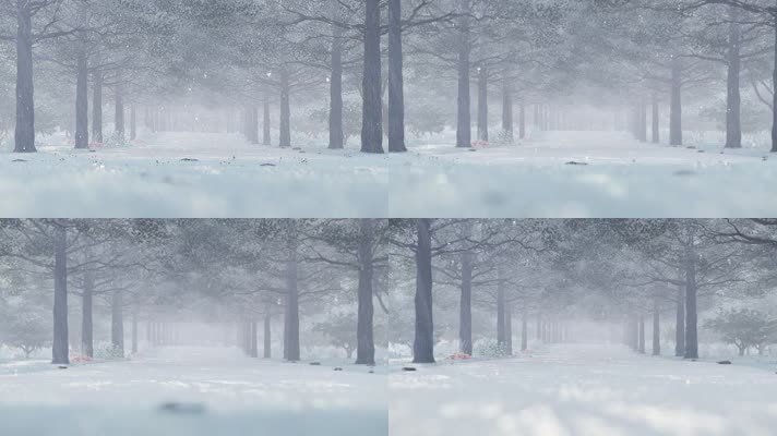 唯美冬天下雪树林雪景视频