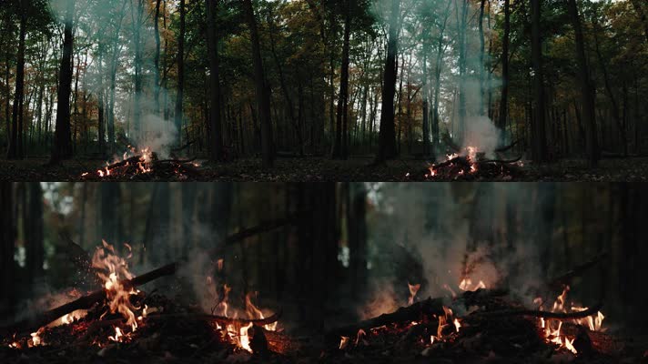 森林里面燃烧的火堆