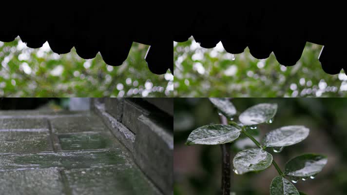 下小雨屋檐植物水滴特写
