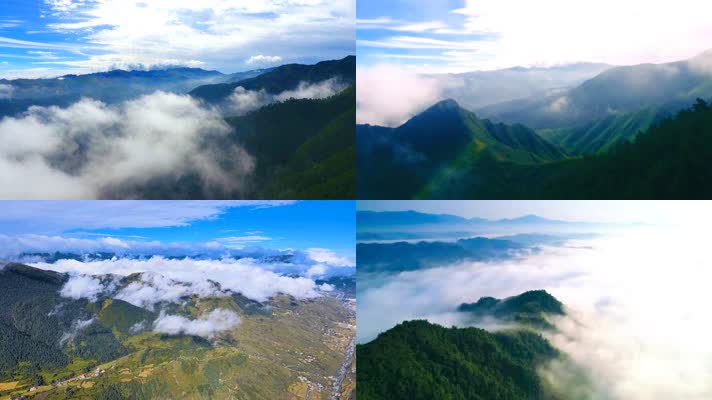 云雾缭绕的高山峡谷森林