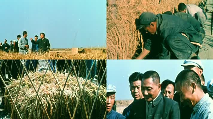 50年代 邓小平视察农村工作