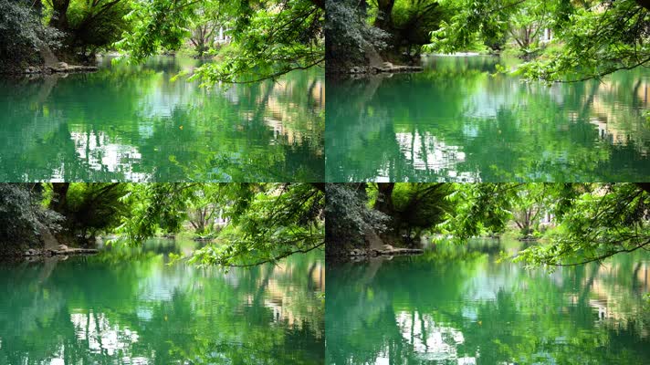碧绿的河水