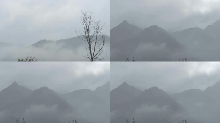 清晨山间云雾树木