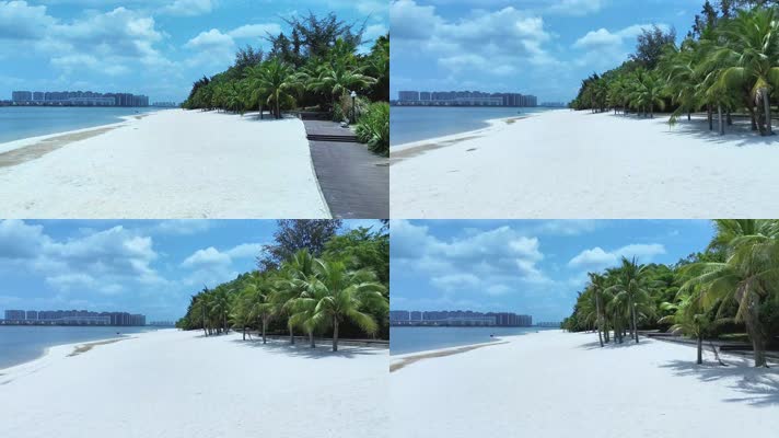 视频 海南风光沙滩椰子树   