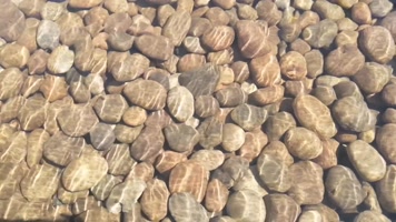 水波 石子1水波纹  鹅卵石 圆石头 石子 溪流