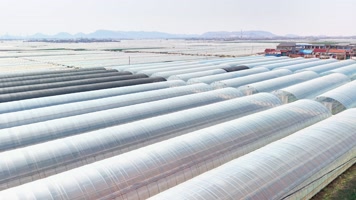 航拍蔬菜大棚基地 马铃薯大棚 土豆种植