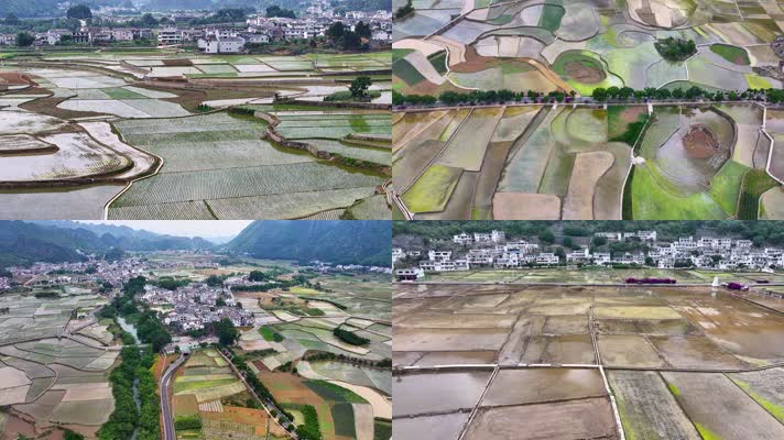 4k航拍农村田园风光  立夏水田小满 