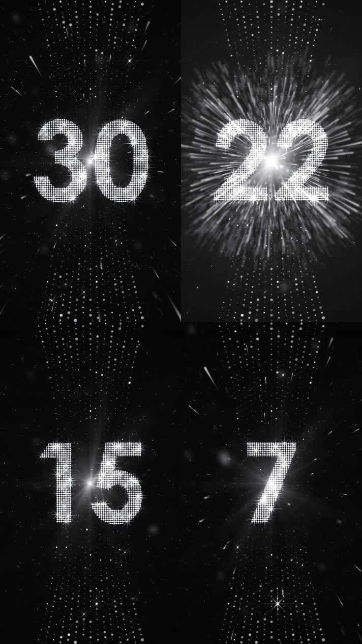 银色竖版竖屏星光30秒倒计时